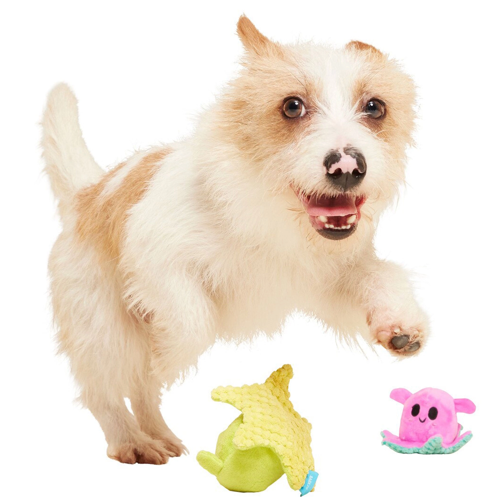 Bark Lil Squirts Dog Toy