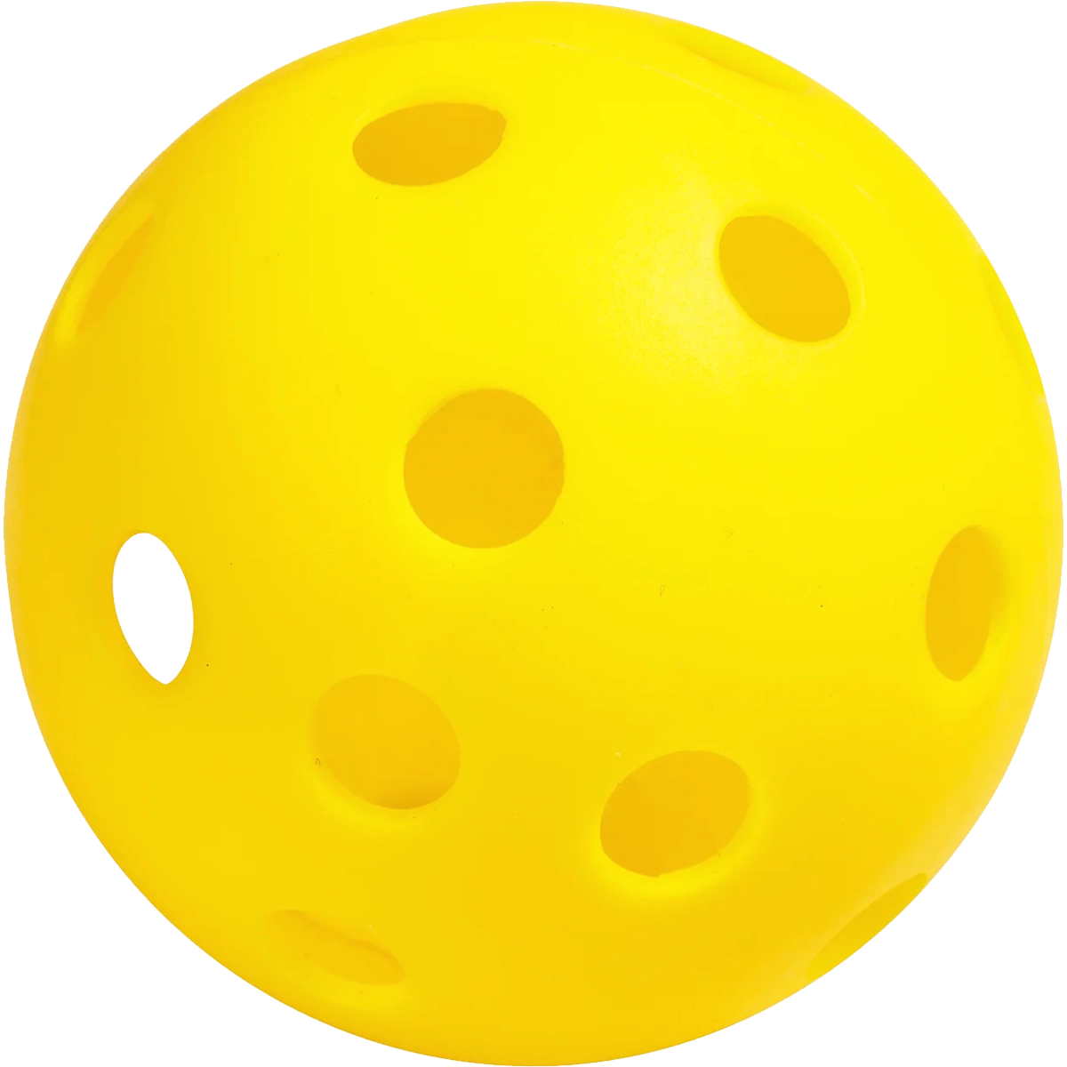Recruit Beginner Pickleball Set