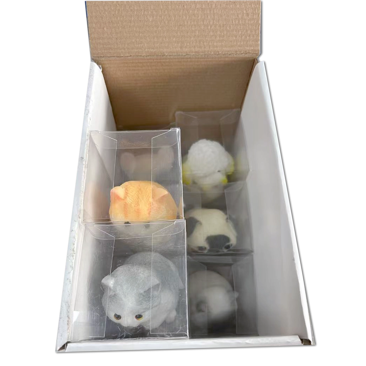 Squishy Pets Keepsake - 12 Pieces Per Retail Ready Display 25820