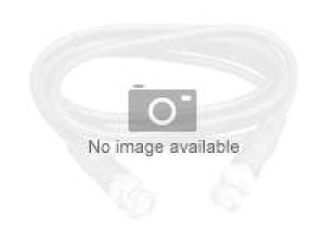 Strategic Sourcing - Patch cable - LC/UPC single-mode to LC/UPC single-mode - 10 m - fiber optic - OS2 NLSMGNP-LCLC-10M